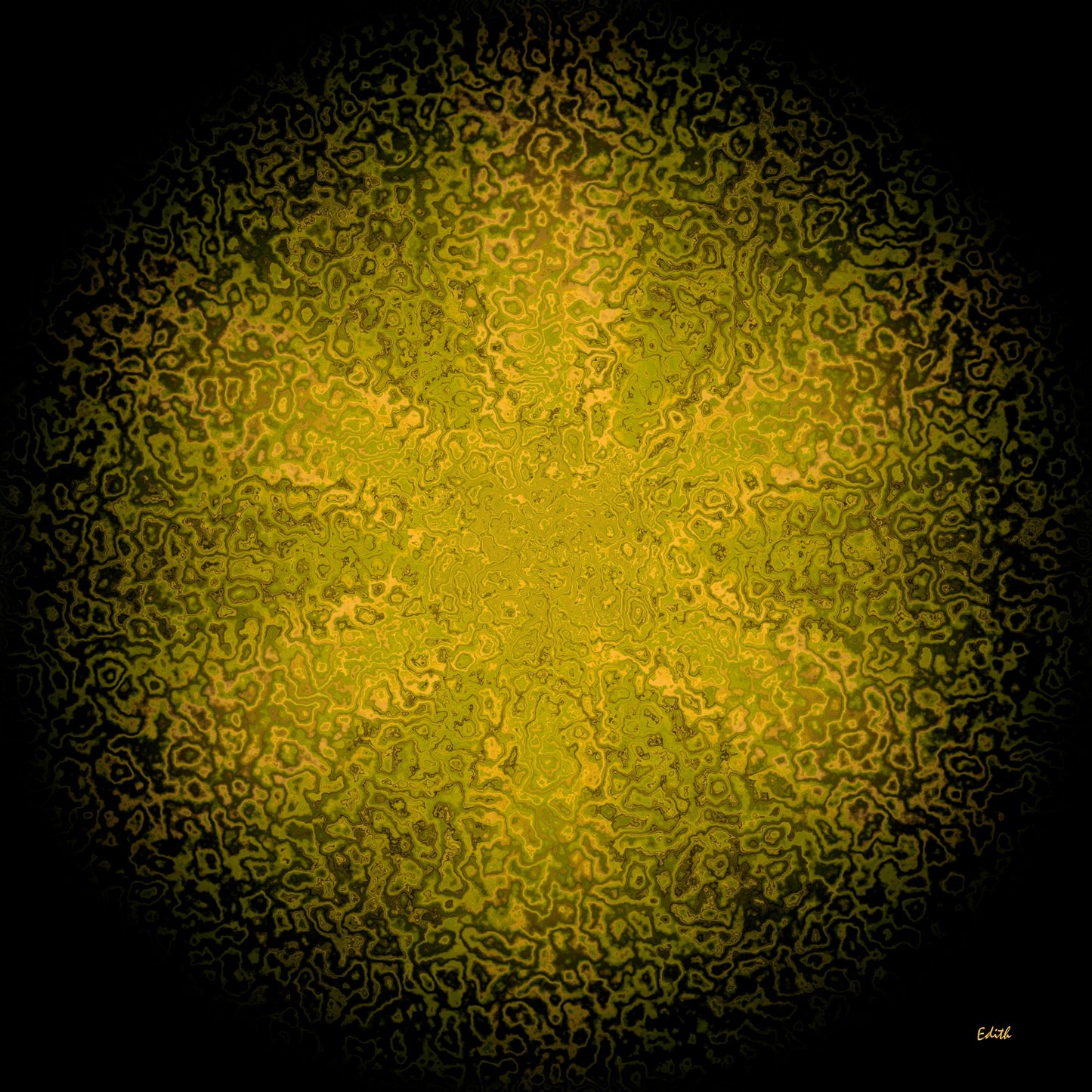 EDITH SUCHODREW - MBMUS 564